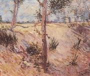Trees in a Field on a Sunny Day (nn04), Vincent Van Gogh
